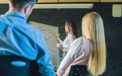 Derrière le CAP : Les Métamorphoses Invisibles des Diplômés