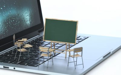 Orientation lycée et crise climatique : former les leaders de demain